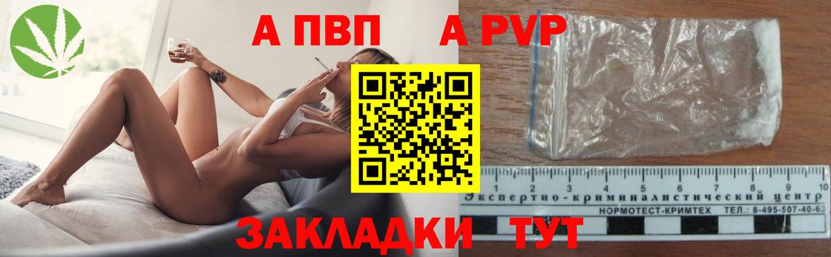 A PVP СК Вологда