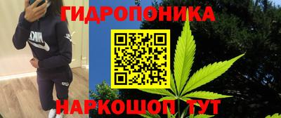 ALPHA PVP Партизанск